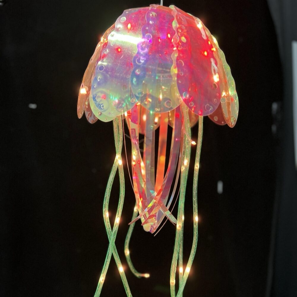 Diamond Jellyfish-PET